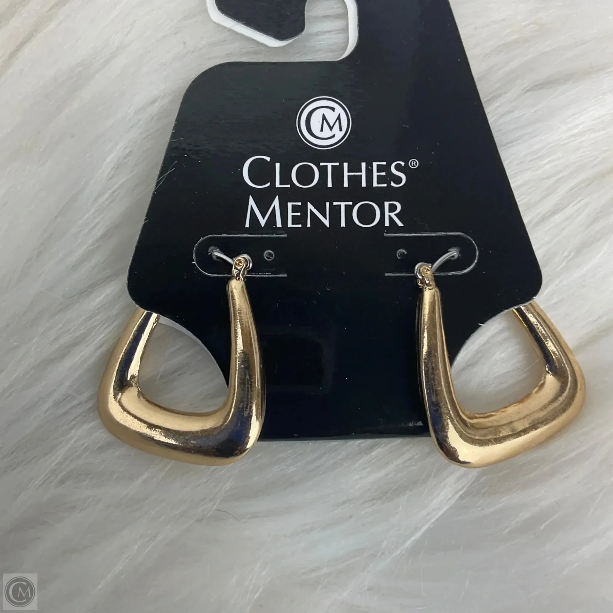 Earrings Dangle/drop By Clothes Mentor