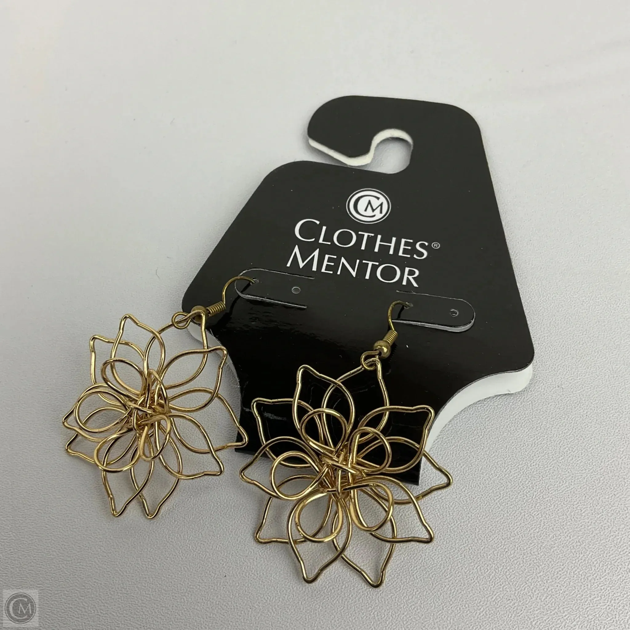 Earrings Dangle/drop By Clothes Mentor