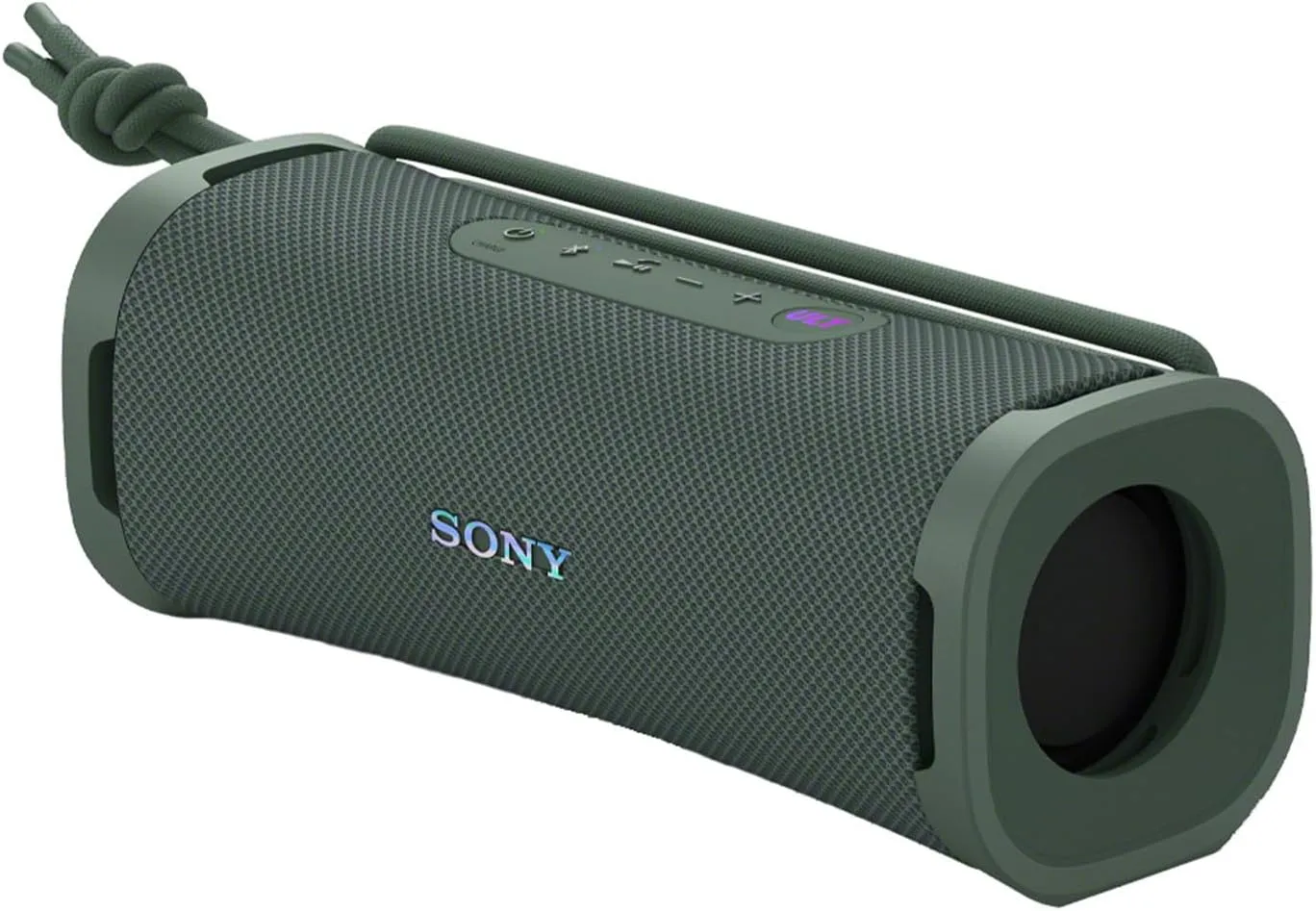 Sony Wireless Speakers, Gray