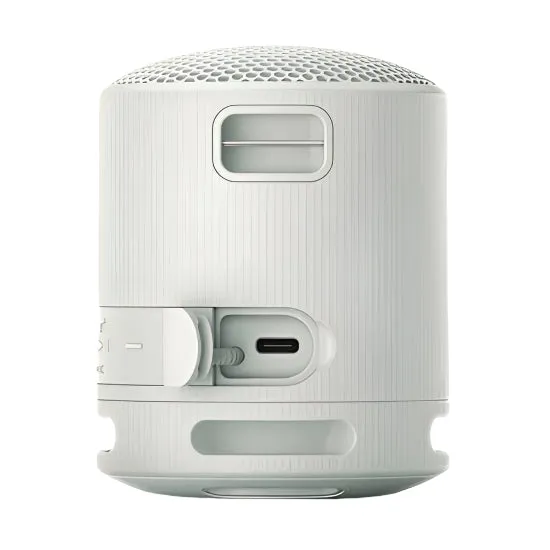 Sony Wireless Speakers, Gray