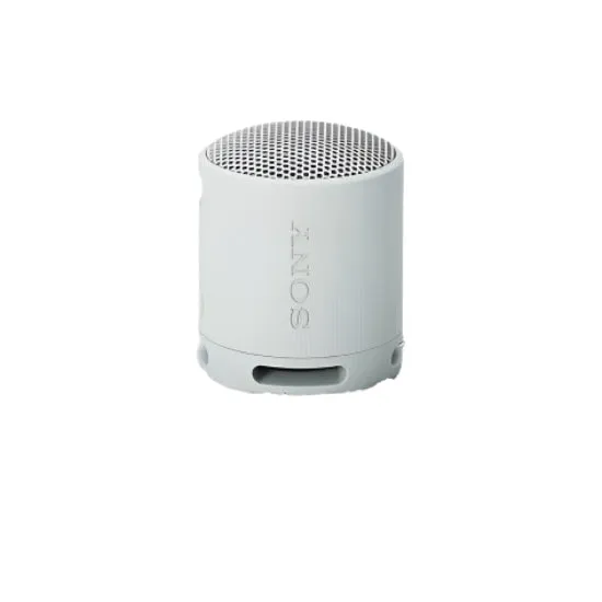Sony Wireless Speakers, Gray