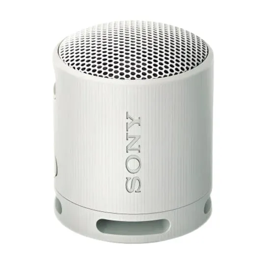 Sony Wireless Speakers, Gray