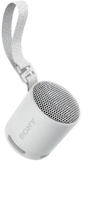 Sony Wireless Speakers, White